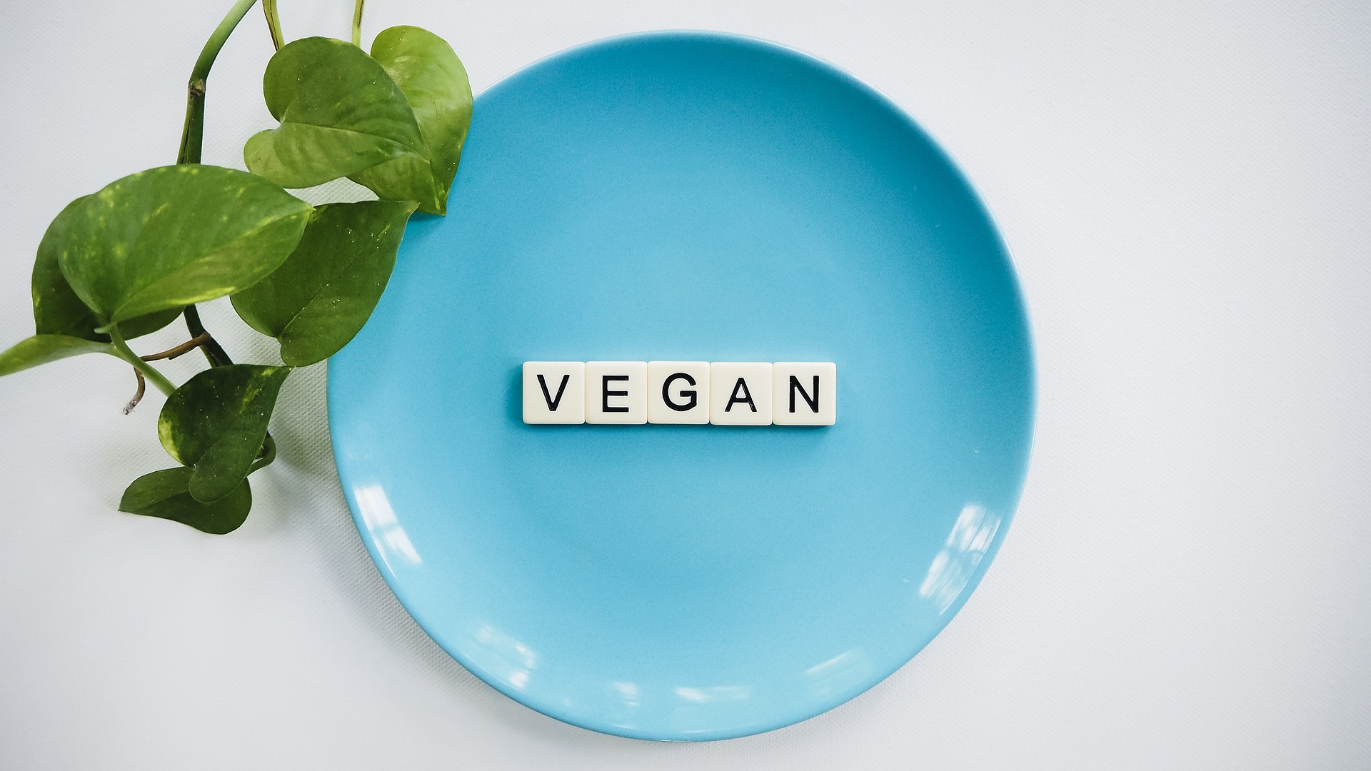 Voeding bij vegetarisme en veganisme